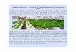 Hydroponics: a modern technique for growing plants