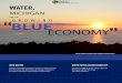 Water, Michigan and the Growing Blue Economy