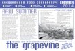The Grapevine - Summer 2014