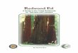 Introduction ~ A Guide to the Coast Redwood for Teachers