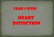 Year 9 BTEC Heart Dissection