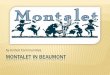 Montalet in Beaumont