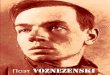 The Poet Vozenesenski