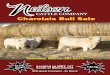 Neilson Cattle Company 2014 Charolais Bull Sale