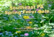 South East Spring Fever Sale