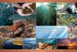 National Fish Habitat Report