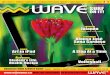 Brazilian Wave Magazine 40