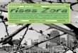 rises Zora: An Exploration of the Urban Labyrinth