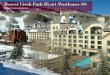 Beaver Creek Park Hyatt Penthouse #6 Flipbook ~ Unbranded
