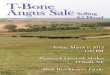 2012 T-Bone Angus Bull Sale