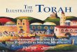 the illustrated torah