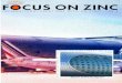 Focus On Zinc N°3