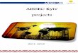 AIESEC Kyiv projects