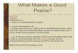 What Makes A Good Prairie?