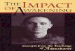 Adyashanti - The Impact of Awakening