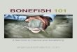Bonefish 101 3:4:14