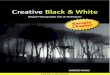 Creative Black and White: Digital Photography Tips and Techniques Sample Chapter