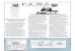 TVHS PAWS Issue 5