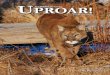 Wildcat Sanctuary Uproar Magazine February 2014