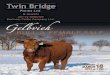 2013 Twin Bridge Catalog