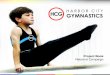 Harbor City Gymnastics - Project Book