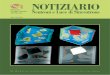 NOTIZIARIO Neutroni e Luce di Sincrotrone - Issue 12 n.2, 2007