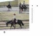 Clearview Stud - Poetic Equine-E-Book