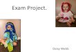 Exam Project