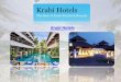 Krabi Hotels