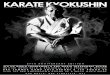 Karate Kyokushin Bookazine 2013