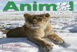 Animal Defender Magazine US Winter 2012 - Spring 2013