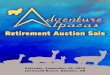 Adventure Alpacas Retirement Auction Sale