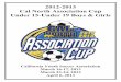 2012-2013 Association Cup U15-U19 Info Packet