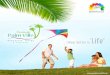 peninsula palm villa brochure