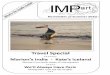 IMPart Summer Newsletter