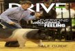DRIVE Spring Sale Guide 2014