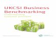 UKCSI Business Benchmarking