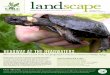 CMLC Landsape Newsletter Fall 2012