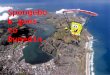 Spongebob goes to Dunedin