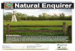 Spring Valley Natural Enquirer: March/April 2013