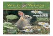 Wild Wings 2010 Spring Catalog
