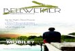 Bellwether - A Blytheco, LLC Magazine