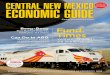 Central New Mexico Economic Guide: 2009