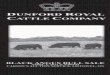 Dunford Royal Cattle Company Black Angus Bull Sale Volume VI 2011