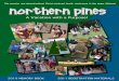 Northern Pines 2010