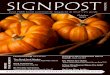 Signpost Magazine