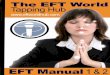 EFT Manual 2010