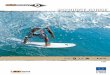 BIC Surf 011 - Eng
