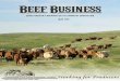 Beef Business May 2014
