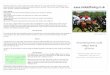 Horse Racing Form Guide 09-02-2010